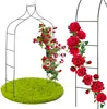 Pergola da giardino in metallo per fiori, rose, piante Anteprima dell’immagine prodotto 13