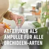 COMPO Orchideen-Aufbaukur - 5 Ampullen á 30 ml Produktbild-Vorschau 8