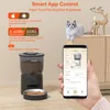 Balimo Futterautomat 3L Schwarz, Katze und Hund, Produktbild-Vorschau 4