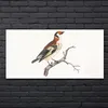 Coloray Bild aus Glas 140x70 gehärtetes Glas glasblock mit Produktbild-Vorschau 2