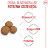 ROYAL CANIN Maxi Puppy - Welpe - Groß (26-44 kg) - Reis - Náhled obrázku produktu 7