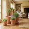 A cozy living room scene with several terracotta pots containing plants, arranged on a wooden floor. Produktbild-Vorschau