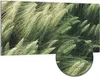 DEQORI Hybrid Leinwand Bild 100x50 cm 'Getreidefeldidylle' Produktbild-Vorschau 1
