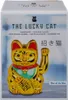 OOTB Chaton de signalisation env. 20 cm Voir les images du produit 6
