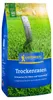 Artikelbild 2 von 'Kiepenkerl Trockenrasen (1 Kg)' aus der Kategorie Trockenrasen Podgląd zdjęcia produktu