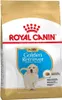 ROYAL CANIN Golden Retriever Junior - Welpe - Golden Produktbild-Vorschau 2