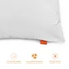 Kussen 65 x 65 cm, set van 2, zacht, Cyclafill-vulling van Productafbeelding-voorbeeld 3
