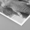 Poster - Poster ohne Rahmen - Elefant Afrika Tier - 70x50 Produktbild-Vorschau 2