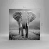 Bild auf Leinwand - Leinwandbild - Einteilig - Elefant Produktbild-Vorschau 3