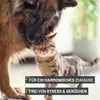 REAVET Urin Stop Spray für Hunde & Katzen 500ml I Mildes Produktbild-Vorschau 6