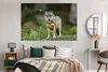 MuchoWow® Poster Wolf - Tiere - Wald 180x120 cm - Produktbild-Vorschau 4