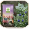 Rhododendronerde 20 l - Hochwertig - Nährstoffreich - Für Produktbild-Vorschau 7