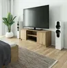 A living room or bedroom setting with a TV stand, television, speakers, plant, and rug. Anteprima dell’immagine prodotto