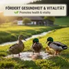 AgrarzoneNourriture pour canards & oies grains 20 kg Voir les images du produit 5