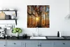 MuchoWow® Poster Herbst - Sonne - Baum 75x75 cm - Wand Produktbild-Vorschau 3