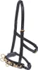 Busse Kappzaum PROFESSIONAL schwarz/Messing, Produktbild-Vorschau 6