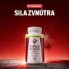 Virile Force – 5x Náhľad obrázku produktu 2