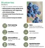 Plants by Frank | 6 Heidelbeerpflanzen 100% Biologisch | Produktbild-Vorschau 4