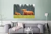MuchoWow® Poster Schottisches Hochlandrind - Sonne - Gras Produktbild-Vorschau 5