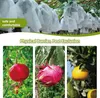 100 Traubenschutzbeutel 15x38cm, Organza Obstnetze mit Produktbild-Vorschau 3