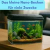 Nano Aquarium Set Mini Terrarium Garnelen Aquarium Klein Produktbild-Vorschau 6