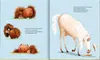 Ronny, das Pony, und Gerd, das Pferd Produktbild-Vorschau 2
