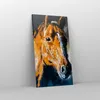 Bild auf Leinwand - Leinwandbild - Pferd Natur Tier - Produktbild-Vorschau 4