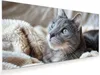 Glasbild 80x40cm in XXL für Wohnzimmer, Schlafzimmer Motiv Produktbild-Vorschau 1