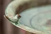 Vogeltränke Flora Metall Tränke Vogelbad Vogel Wasserschale Produktbild-Vorschau 2