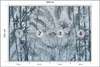 Muralo Vlies Fototapete blaue BLÄTTER Beton tropische Produktbild-Vorschau 2