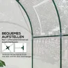 Outsunny Gewächshaus, Foliengewächshaus mit Aufrollbare Produktbild-Vorschau 7