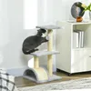 Arbre à chat PawHut 72 cm avec boules en peluche, tiges en Voir les images du produit 2