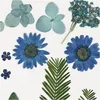 Creativ Company Trockenblumen und Blätter blau Bastelset 19 Produktbild-Vorschau 4