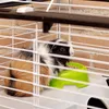 FERPLAST Casita 80 - Kooi voor konijnen en cavia's Productafbeelding-voorbeeld 20