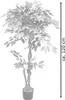 Fico Ficus Benjamin Pianta Albero Artificiale con Legno Anteprima dell’immagine prodotto 4