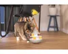Beeztees Katzenspielzeug Sapi interaktiv Produktbild-Vorschau 12