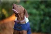 Kentucky Dogwear Hundemantel Original Hundejacke Marine M Anteprima dell’immagine prodotto 3