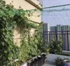 Gartennetz für Pflanzen mit großer Maschenweite 2x10 m/ Produktbild-Vorschau 5