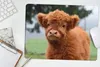 MuchoWow® Mauspad Mousepad Scottish Highlander - Kalb - Produktbild-Vorschau 5