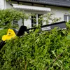 Kärcher Akku-Teleskop-Heckenschere PHG 18-45 Battery, Produktbild-Vorschau 4