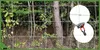 Wildzaun - Forstzaun – Knotengeflechtzaun - 120 Cm - 50 M - Produktbild-Vorschau 3