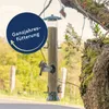 25 kg Lyra Pet® Sonnenblumenkerne geschält BRUCH Neue Ernte Produktbild-Vorschau 3