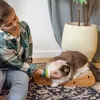 Petsona Kratzbrett Für Katzen Natürlicher Katzenkratzer Produktbild-Vorschau 5