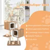 A multi-level cat tree with various platforms and cubbies, set against a window with palm trees visible outside. An orange overlay on the right side lists product features. Podgląd zdjęcia produktu
