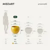 Kvetináč na olivovník XXL Provencelia MOZART, keramický, Náhľad obrázku produktu 2
