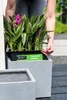 Blumentopfeinsatz aus Kunststoff 37,5 x 37,5 cm schwarz Produktbild-Vorschau 2