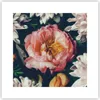 Poster - Poster ohne Rahmen - Blumen Pfingstrose Holzig - Produktbild-Vorschau 1