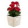 Blumenkübel Blumentopf Pflanzkübel Beton Effekt  Creme Produktbild-Vorschau 1