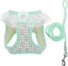 Puppy Dog Geschirr Und Leine Set Magic Tapes Produktbild-Vorschau 1
