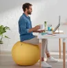 Leitz Ergo Cosy Grey Indoor Round Náhled obrázku produktu 15